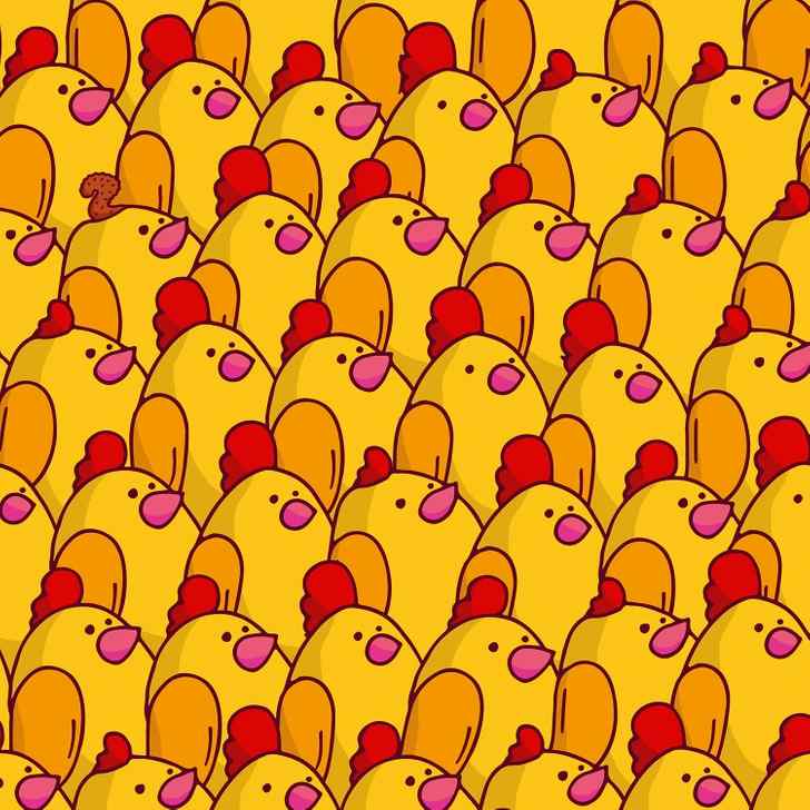 where is the squirrel's tail